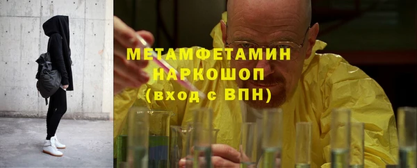 трава Наволоки
