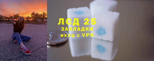 PSILOCYBIN Нефтегорск