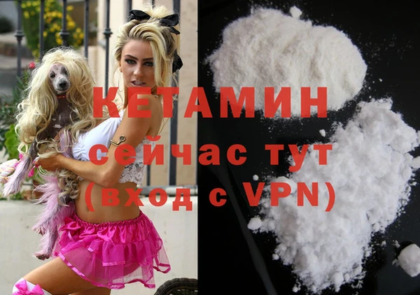 трава Наволоки