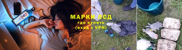 трава Наволоки