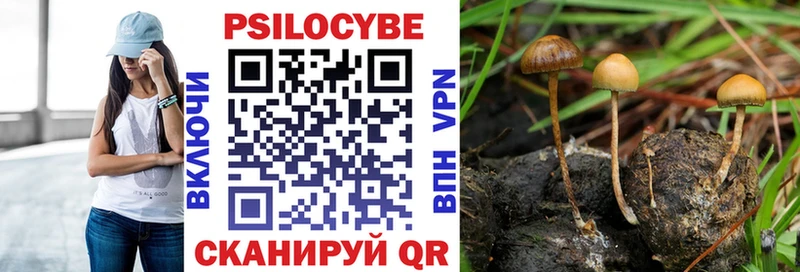 Галлюциногенные грибы MAGIC MUSHROOMS  Купить закладки  Сасово 